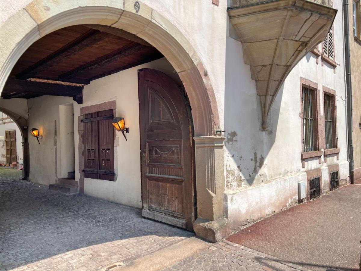 Le Baumann Concept: Appartement De Charme Dans Un Monument Historique Colmar Ngoại thất bức ảnh